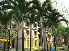 Blk 352A Canberra Road (Sembawang), HDB 5 Rooms #227922